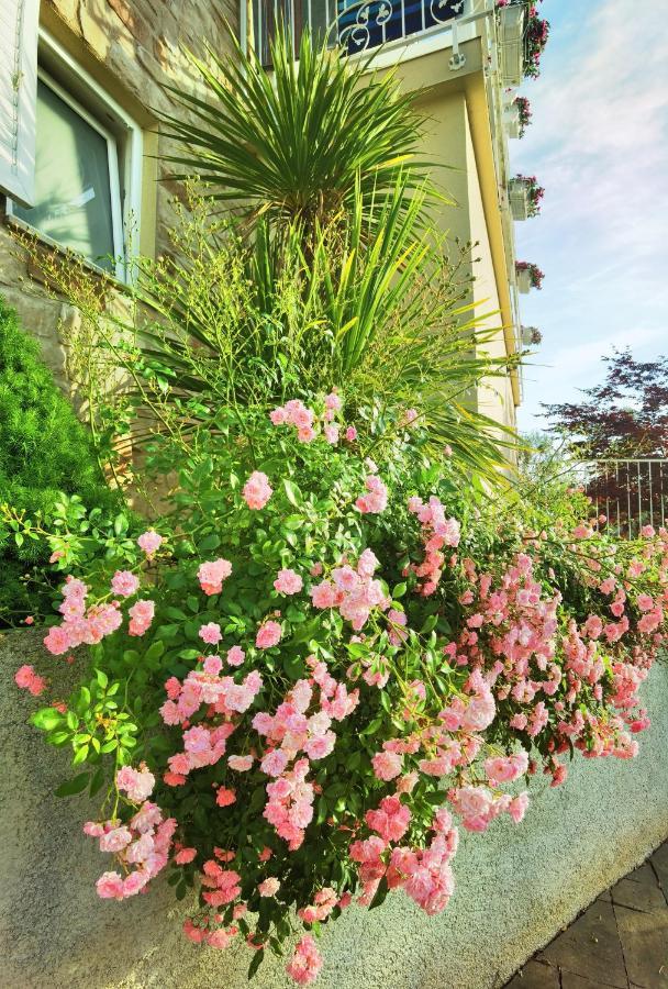 Guesthouse Olei Malinska Zewnętrze zdjęcie