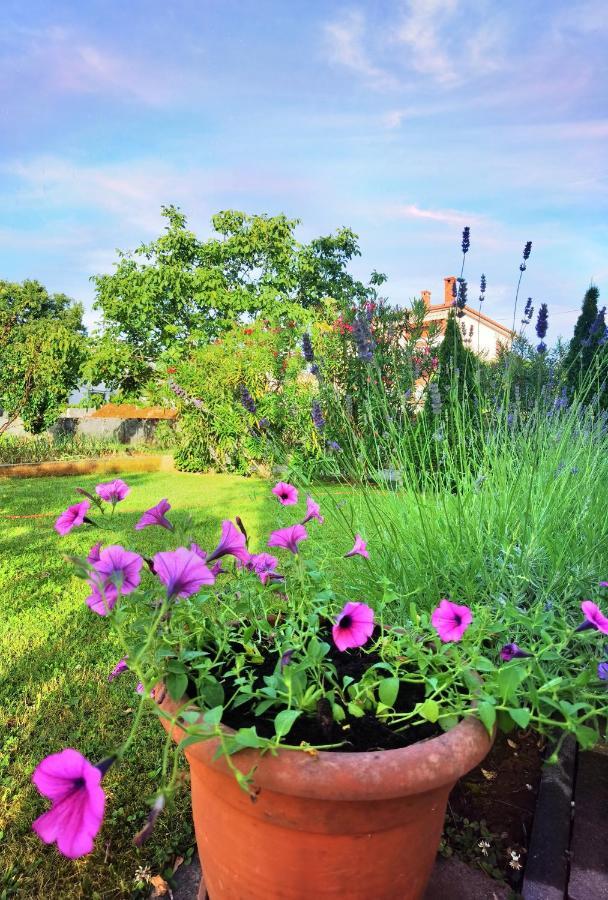 Guesthouse Olei Malinska Zewnętrze zdjęcie